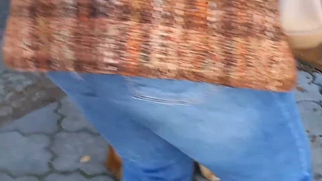 ?КОРМИМ БЕЗДОМНЫХ КОШЕК.?