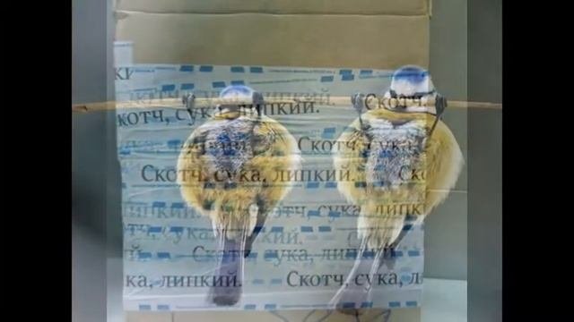 Интересные картинки