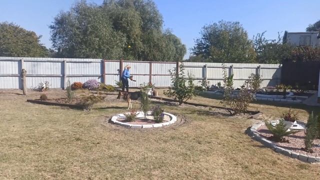 Как сделать цветник своими руками. Цветник в октябре