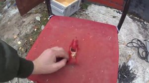 Самодельный цементные блоки для строительства. Начало. (серия 1)