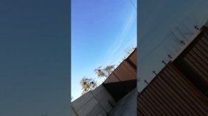 Пежо 607 не работает электропривод багажника