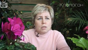 Топ 10 садовых растений ?Теневыносливые