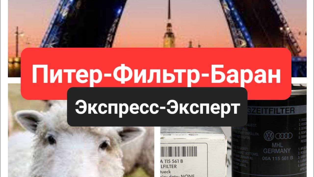 Skoda: Фильтра, Масла, Паль, Ориг и ДешЁвка Питерская ♂️ (2023)