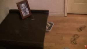 паранормальная сущность