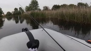 Ловим Сома на мандулу, река днепр 2020 год