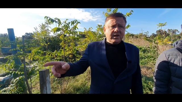 Старое кладбище - как отражение состояния общества
