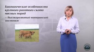 1 1  Биологические особенности мясного скота