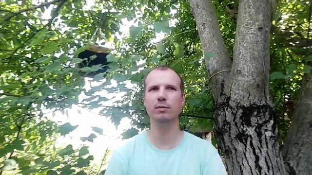Автохимия автошампунь | Мойка машины дома | Моем автомобиль сами