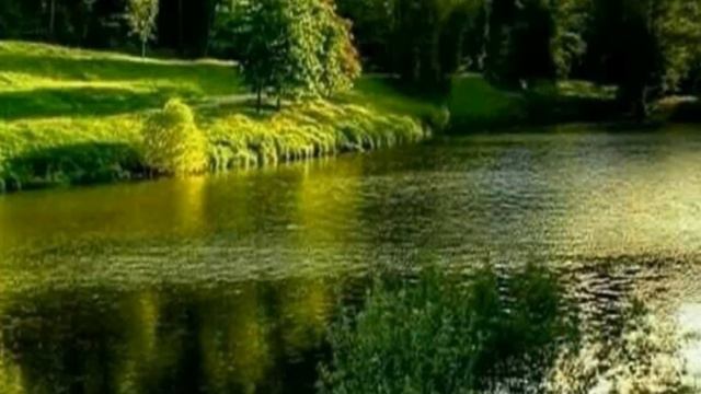 Андрей Рубежов. Любовь за 60... смотреть онлайн