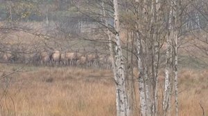 Напоминают о безопасности на дорогах в зимний период