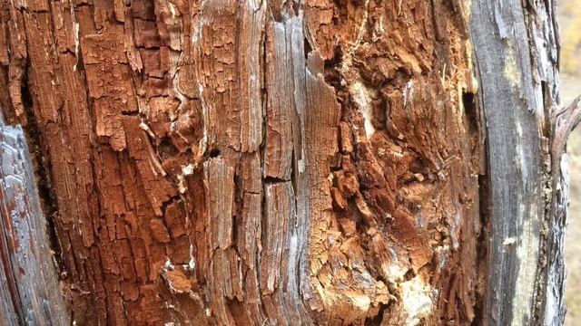 Гранитный замок смотреть онлайн