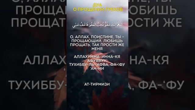 дуа о прощении грехов #ислам #islamic #muslim #мусульмане #dua #duasfromquran #дуа #islam