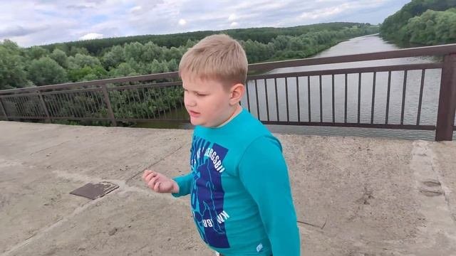 ластоногие. часть 1