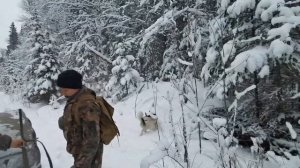 Сибирь. Промысловые будни.