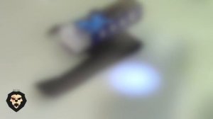 Электрошокер Оса WS-928 Power (Видео-Обзор)