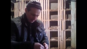 Заболел голубок  Оспа