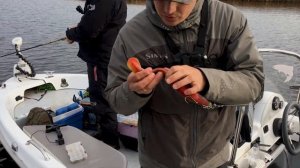 Крупный СИЛИКОН не всегда нравится ЩУКЕ. БИГБЕЙТЫ и трофейная щука!