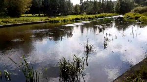 Медведковский метромост Медведково-Бабушкинская, река Яуза