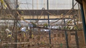 Парк + Зоопарк в городе Петах Тиква (Gan Hayot Petah Tikva)