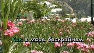 Вся жизнь впереди (профессиональное караоке)