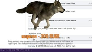 НЕ СДАЛ НА ПРАВА С ПЕРВОГО РАЗА, ПОТОМУ ЧТО... // ОТВЕТЫ НА ВОПРОСЫ