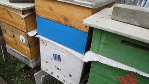 ответы на вопросы - какой необходимо открывать леток для зимовки пчел