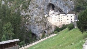 Однотонные крольчата в окроле строкачей/Немецкий Пёстрый Великан/Предъямский замок Словения