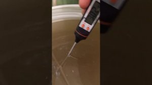 Обзор дрожжей cwt-3 с озон. ч.1 постановка браги..