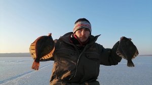 ДВА ДНЯ в Тавричанке. Зимняя рыбалка на камбалу. ЗАКРЫТИЕ СЕЗОНА. Камбала и навага ПРЁТ. На РАКУШКУ.