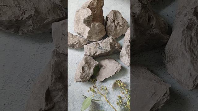 Глина Чернослив/Clay Prunes смотреть онлайн