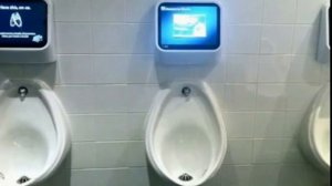 5 фактов про туалет