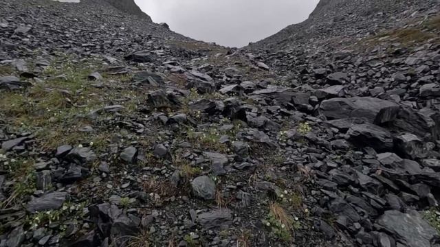 Алтай 2023. Iч полного видео к озеру Тайменье. смотреть онлайн