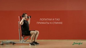 Жим гантелей сидя на скамье - упражнение | техника выполнения