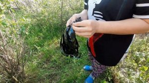 Самодельный, но эфективный отпугиватель птиц от ягод