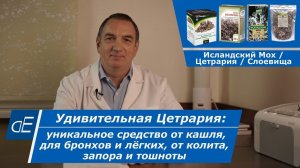 Уникальное средство от кашля, бронхита, астмы, от колита, запора и тошноты: Исландский мох /Цетрария