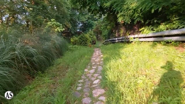 Дорога к морю по лесу в пансионате Шексна! смотреть онлайн