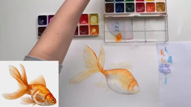 Как нарисовать рыбу акварелью смотреть онлайн