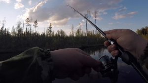 ПОЛНЫЙ ПОПЛА ПОПЕР. ЖИРНАЯ УКЛЕЙКА. АДРЕНАЛИН даже на мелкой рыбе. Как ловить на попла поппер.