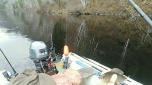 Рыбалка на хариуса на реке Енисей, тиролька за 5 минут
