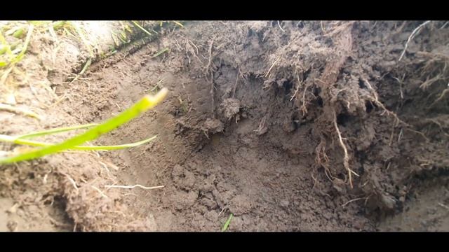 Metal Detecting UK | Minelab Vanquish 340 on Pasture смотреть онлайн