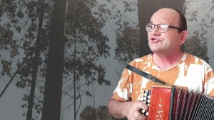 Песня Матвея из к/ф Дело было в Пенькове. Кавер на гармони.