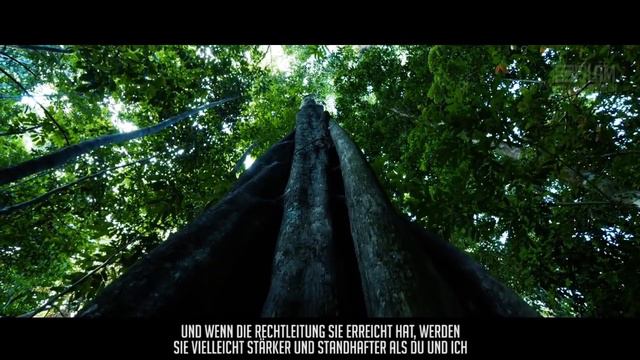 As-Sabur ᴴᴰ ┇ Allahs 99 Namen ┇ BDI смотреть онлайн