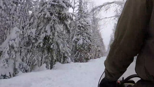 X-team Карелия февраль 2019 смотреть онлайн