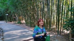 27.05.2022. Сочи. Бамбуковая роща/ Sochi. Bamboo grove/ El bosque de bambú