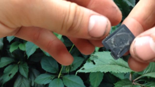 Полочка для лука своими руками смотреть онлайн