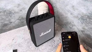 Самая точная копия беспородная колонка Marshall Stockwell 2