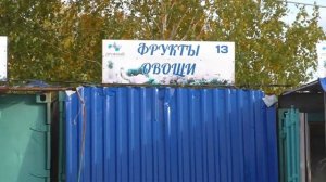 Причина роста цен на картофель в Сибири нет урожая корнеплод