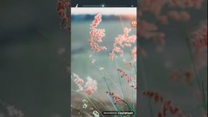 Гузель Хасанова песня двое