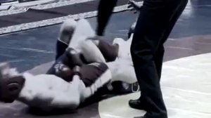 Что такое Nomad MMA?