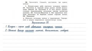 Упражнение 38 на странице 30. Русский язык (Канакина) 4 класс. Часть 1.